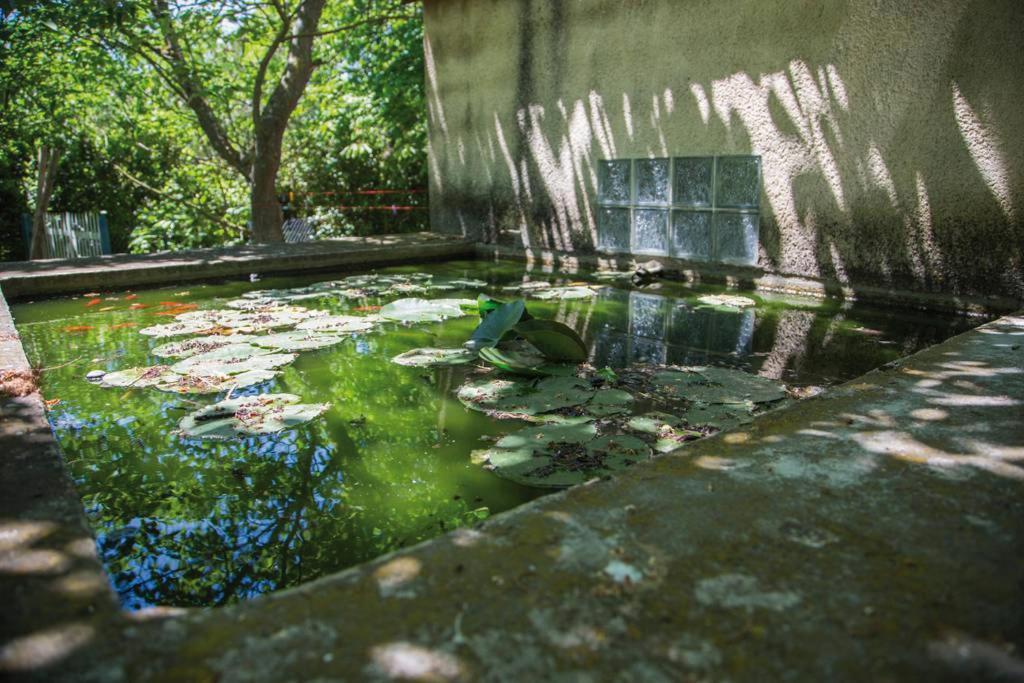 Authentique Mas Provencal Gemenos Villa Dış mekan fotoğraf